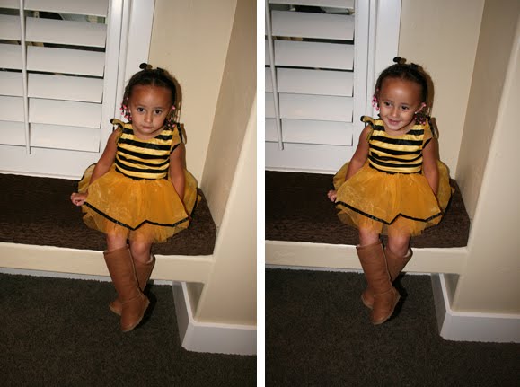[sela+as+a+bumblebee+collage.jpg]