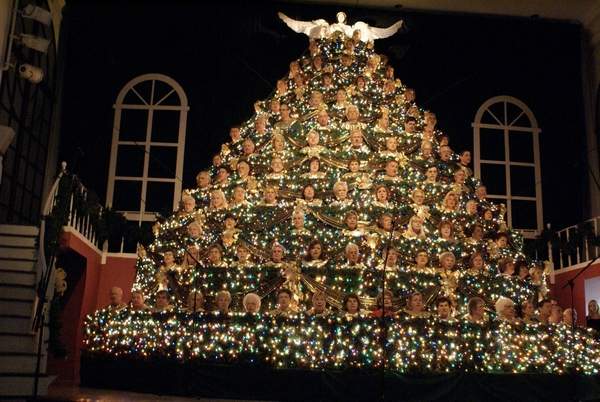 mindy s soap box the singing christmas tree mindy s soap box the singing christmas tree