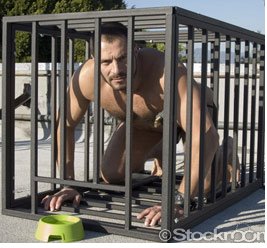 [crop+cage.jpg]