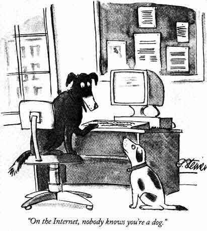 [perros.jpg]