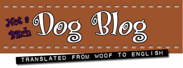 Dog Blog