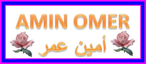 Amin Omer