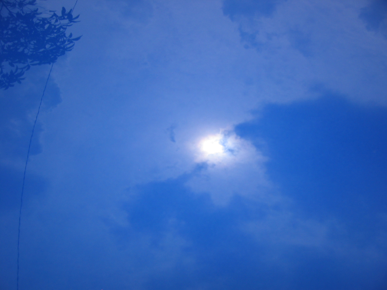 [IMG_2592.JPG]