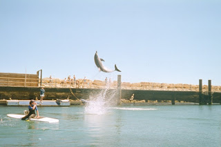Perth Accommodation, Perth Hotels, Luxury Accomodation in Perth, Hotels in Perth, Perth Australia Hotels, Accomodation in Perth Australia, Booking of hotels in Perth