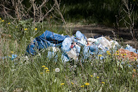 Garbage Dumped in Clear Lake Environment