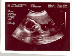 Ultrasound 12/22/08