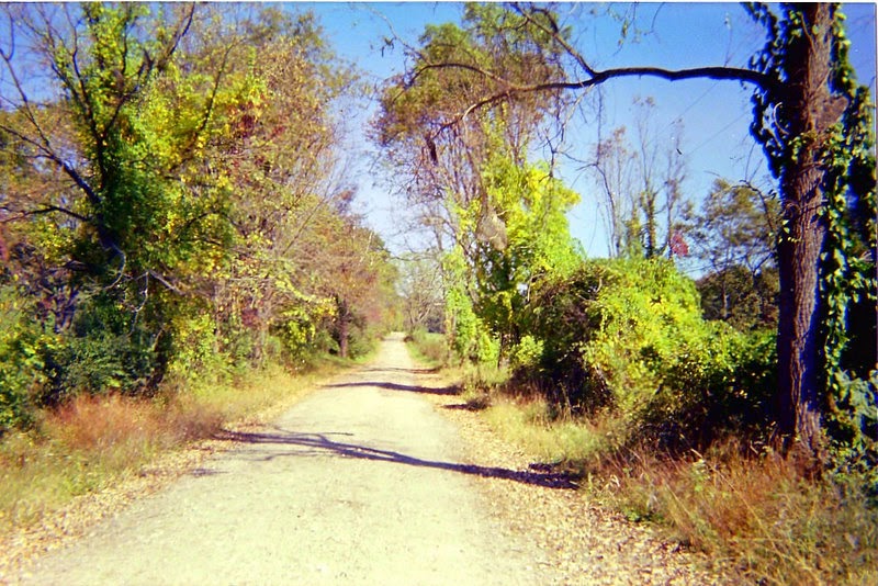 Delia's Genealogy Blog Old Mine Road