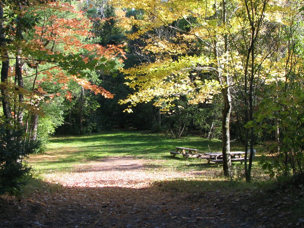 Brule River Motel & Campground Go Canoeing on the Bois Brule! Campground