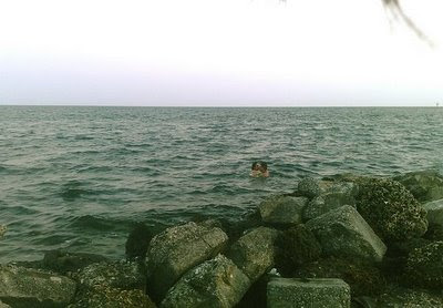 matheson hammock
