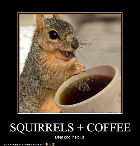 [squirrelsandcoffee.jpg]