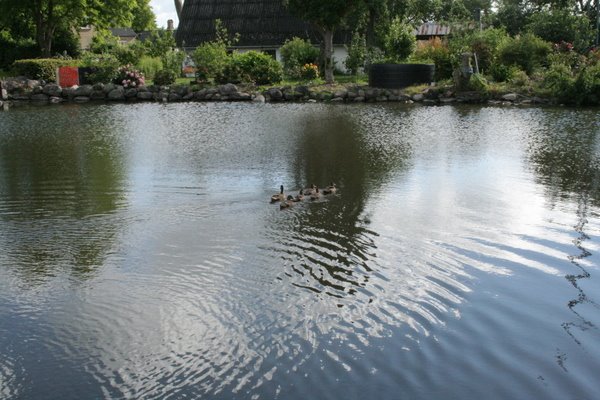 [IMG_9087.JPG]