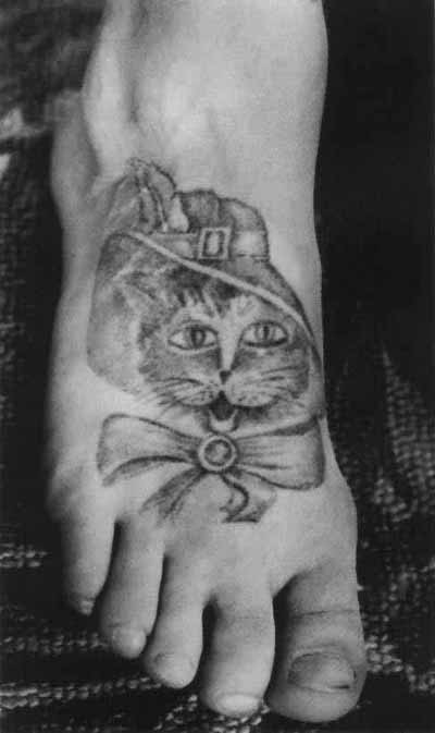 A single cat signifies that the A single cat signifies that the