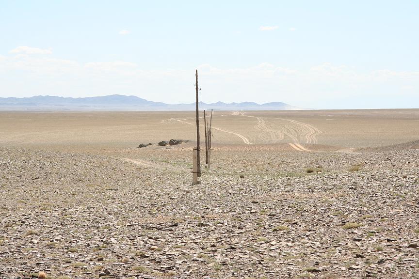 [Gobi.JPG]