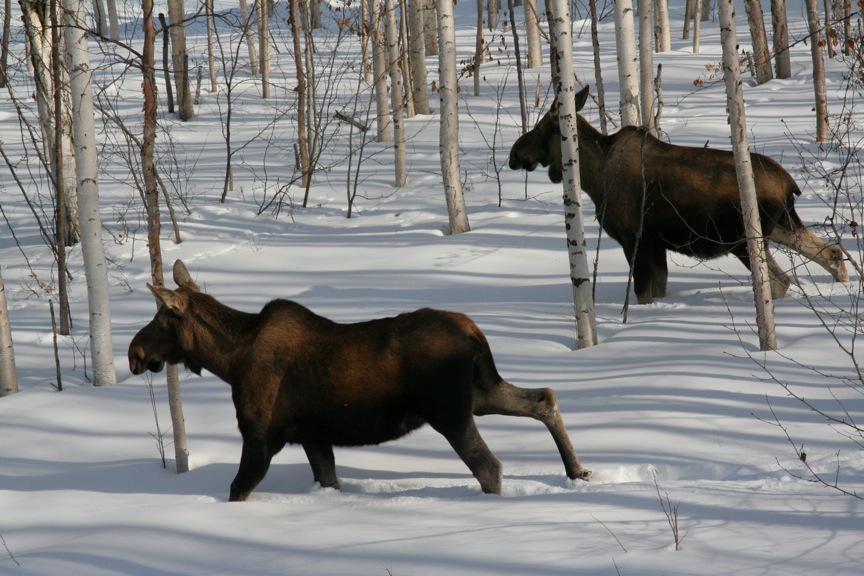 [IMG_3626.jpg]
