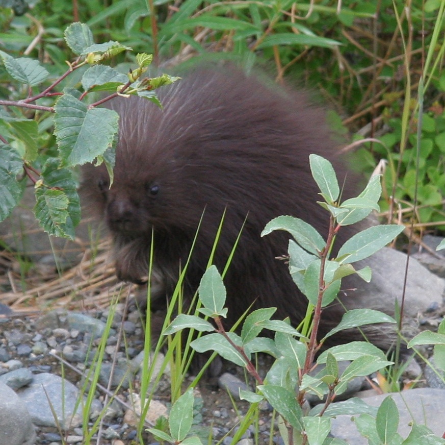 [IMG_4122_cropped.jpg]