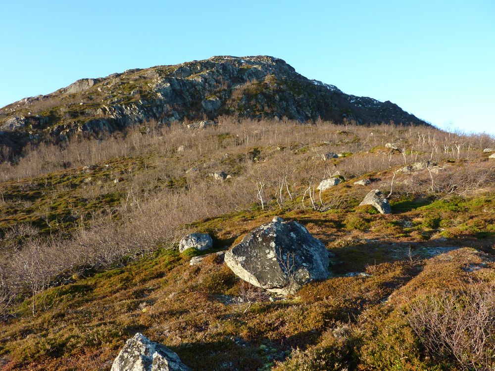 [P1000369.jpg]