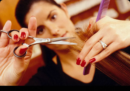 Hair Scissors on Hair Cutting Scissors Jpg