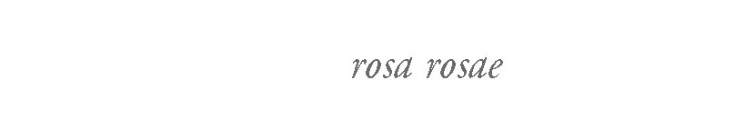 rosa rosae