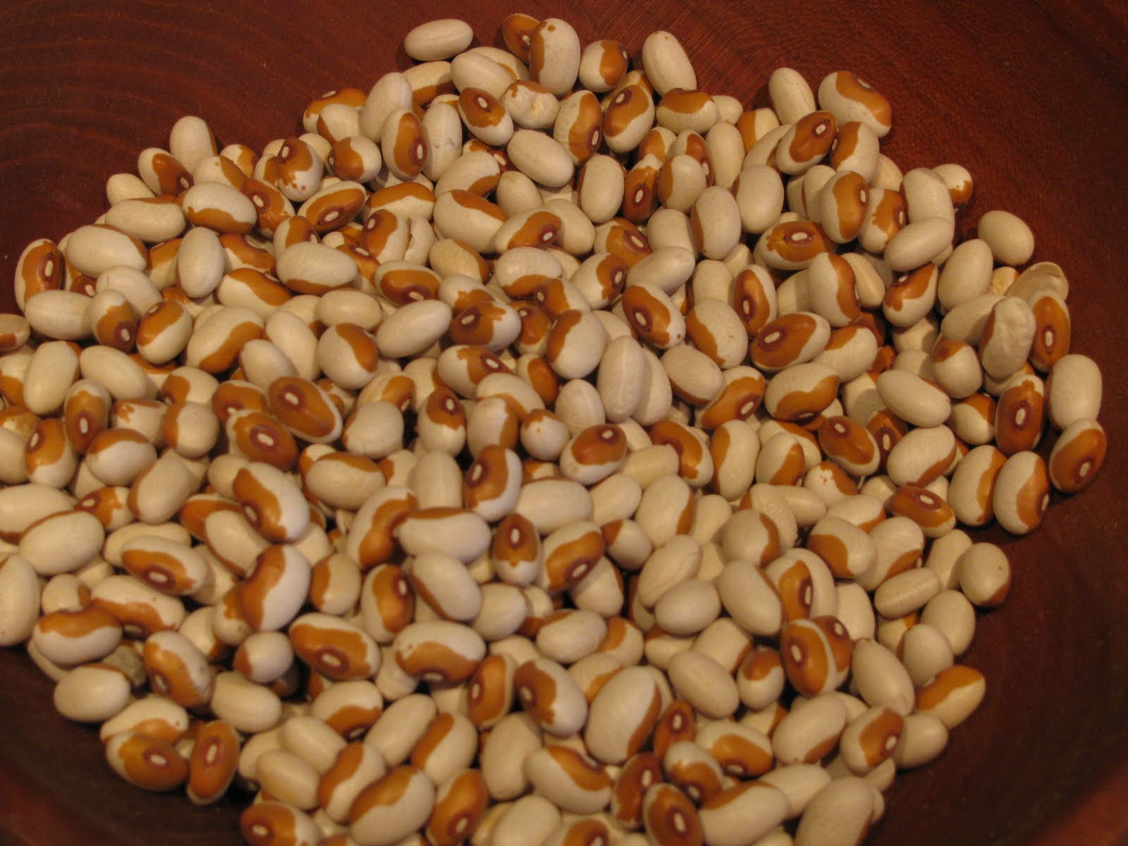 Carolina Foodie YELLOWEYED PEAS