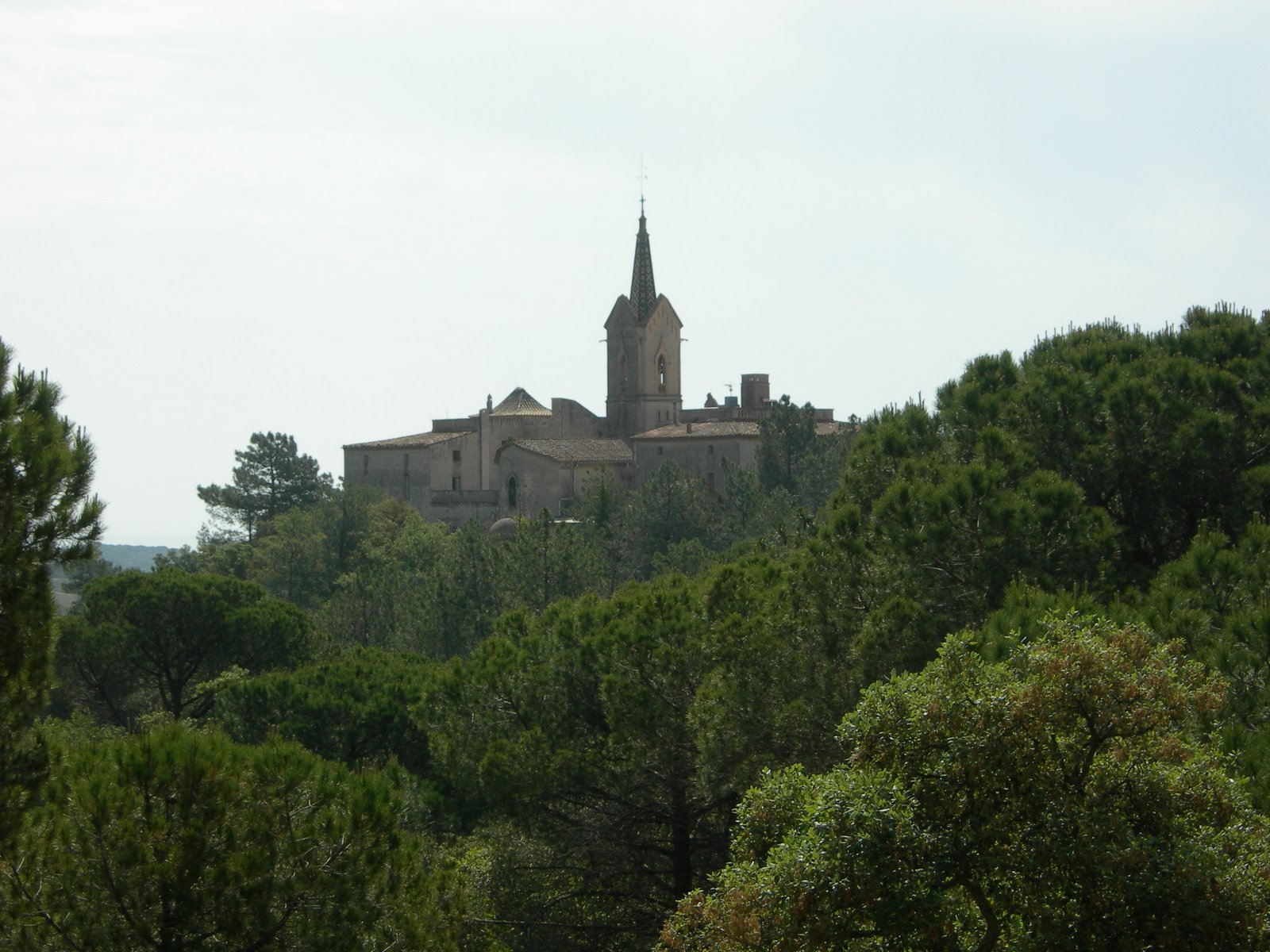 [DSCN1130.JPG]