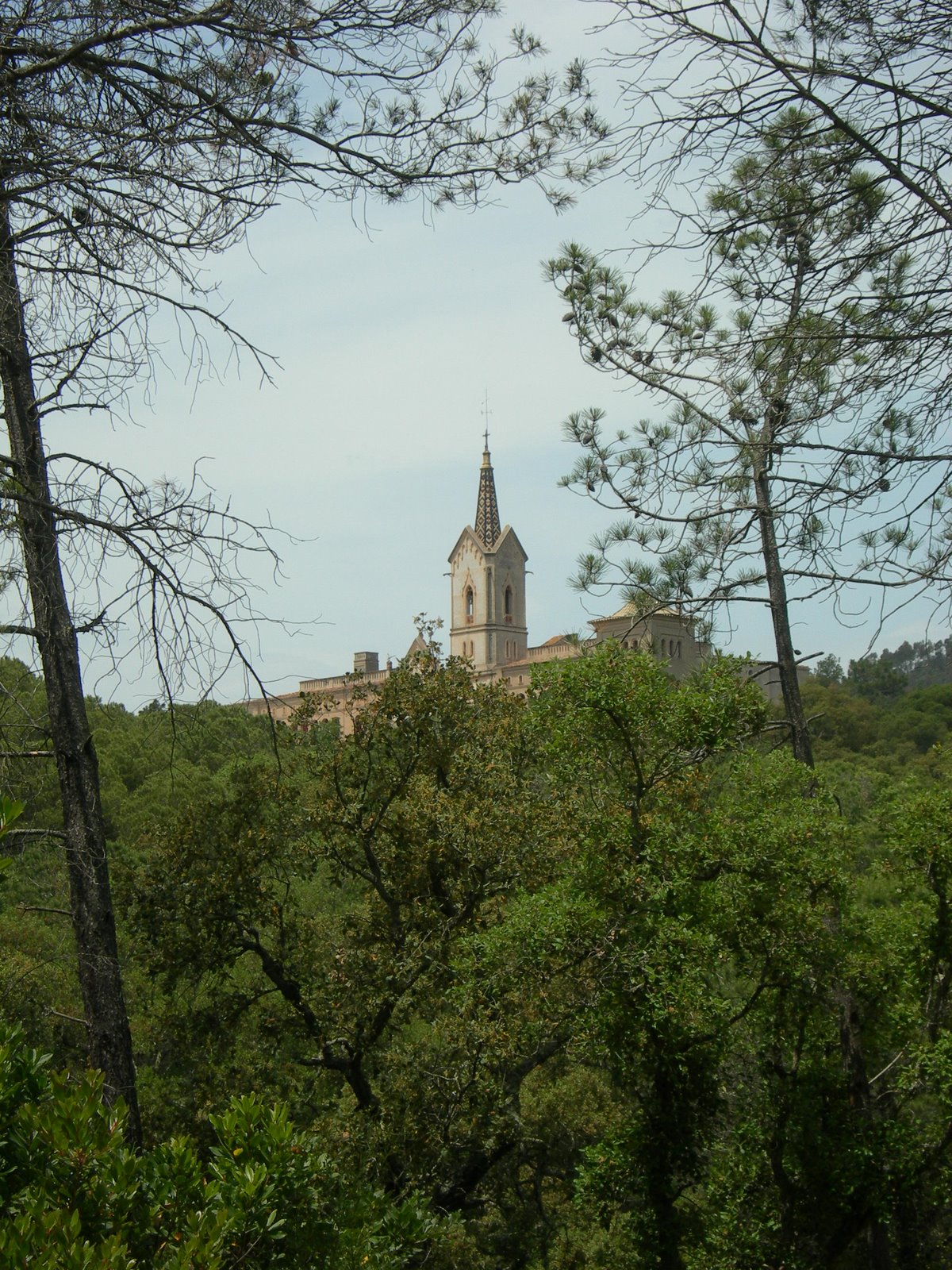 [DSCN1141.JPG]