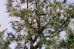 Mom keeping babies warm