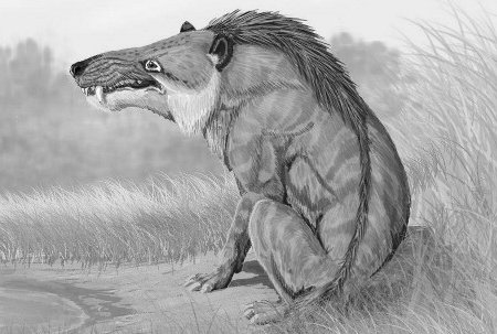 Andrewsarchus,hyaenodon gigas