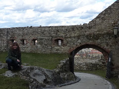 Trencin Castle