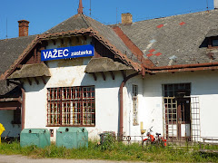 Vazec