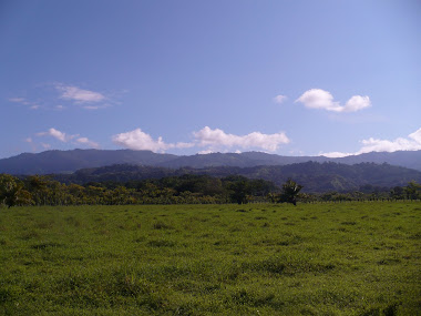 View toward the mountain ridge.