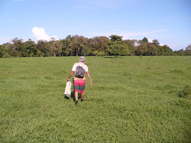 Pasture leading to the esteros