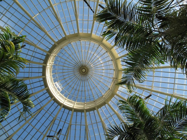 under the conservatory dome at the Buffalo and Erie County Botanical Gardens