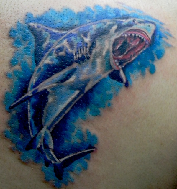 2nd up is kevin's second shark tattoo his 1st one healed up really well