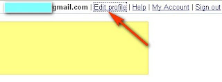 blogger profile