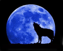 Wolf and blue moon