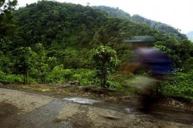A cyclist rides front Tapamti National Park in Orosi, Costa Rica, May 25, 2007. Costa Rica, a leader in eco-tourism and home to some of the world's rarest species, planted its 5 millionth tree of 2007 on Wednesday as it tries to put a brake on global warming. (Juan Carlos Ulate/Reuters)
