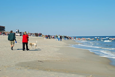 Carolina Beach Polar Plunge