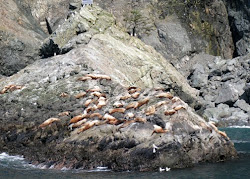 Resurrection Bay, Alaska