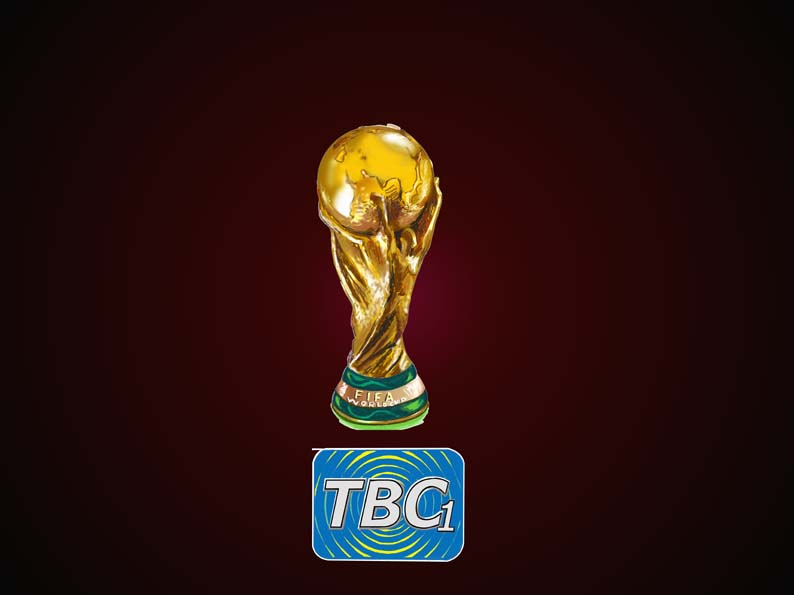 World+cup+trophy+2010
