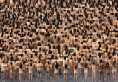 Spencer Tunick Mexico City