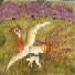 Phoenix, Simorgh, Simurgh, Samandar Phoenix, Simorgh, Simurgh, Samandar