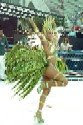 Carnaval Carnaval