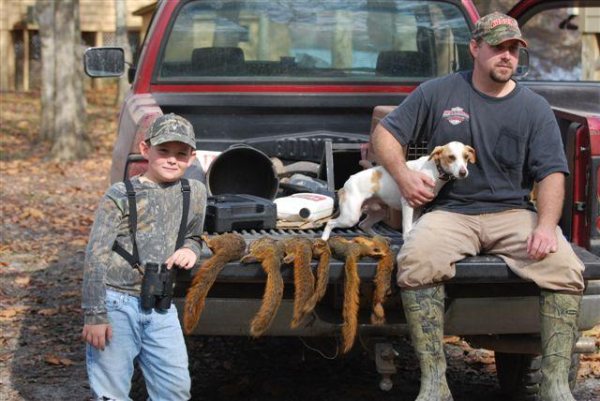 squirrel hunting dog