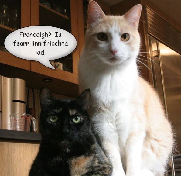 [francaigh_2.jpg]