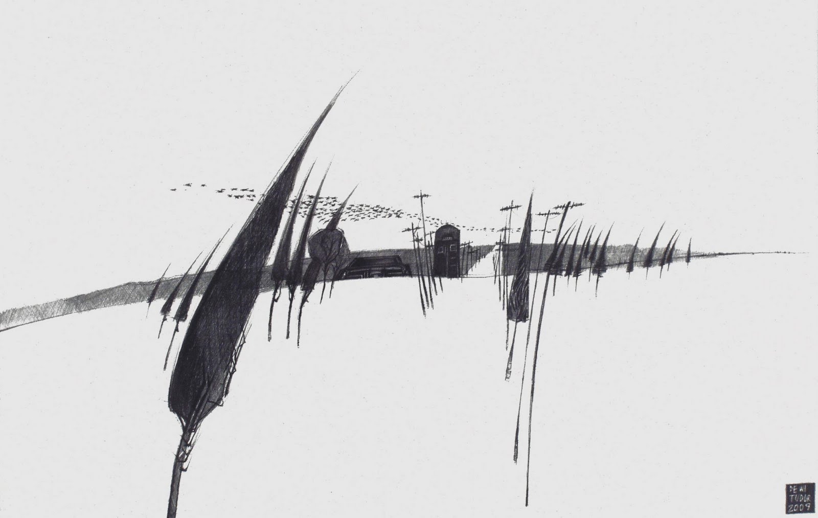 [DT+-+Torri+Lawr+72.jpg]