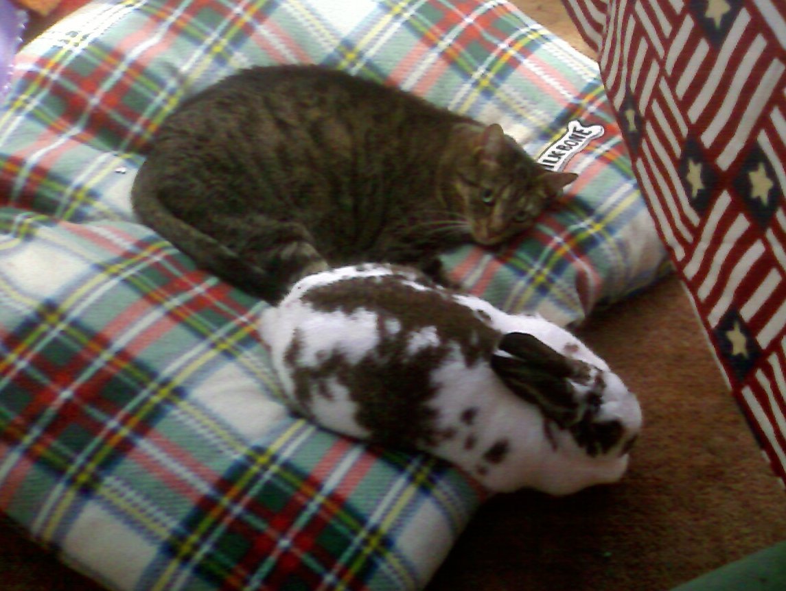 [tooner+and+cotten.jpg]