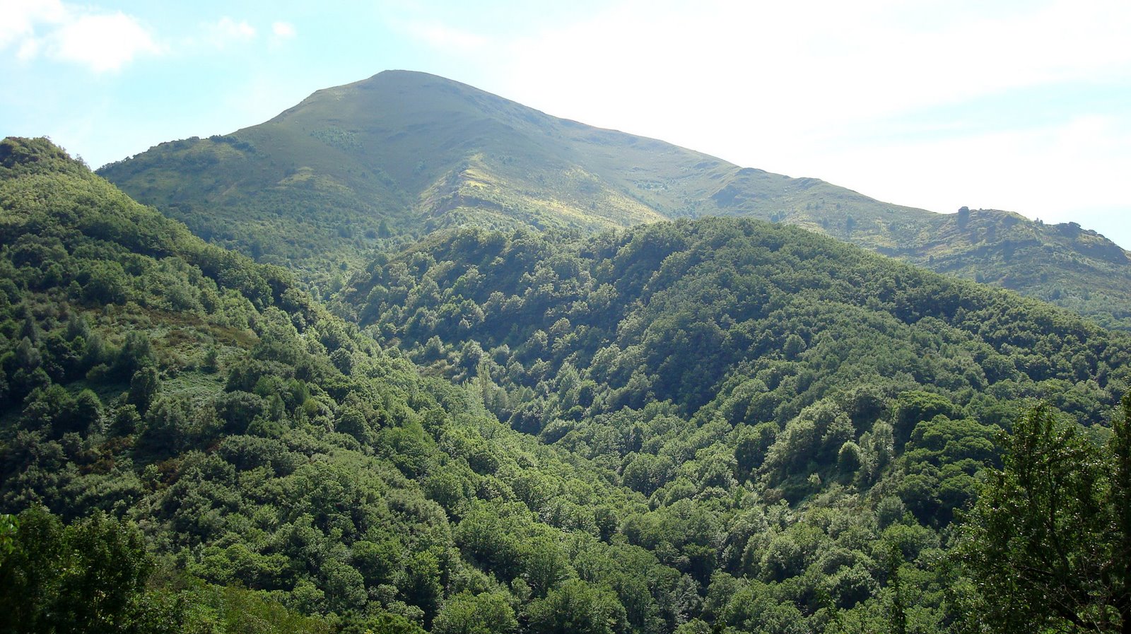 [DSC01751_edited.JPG]