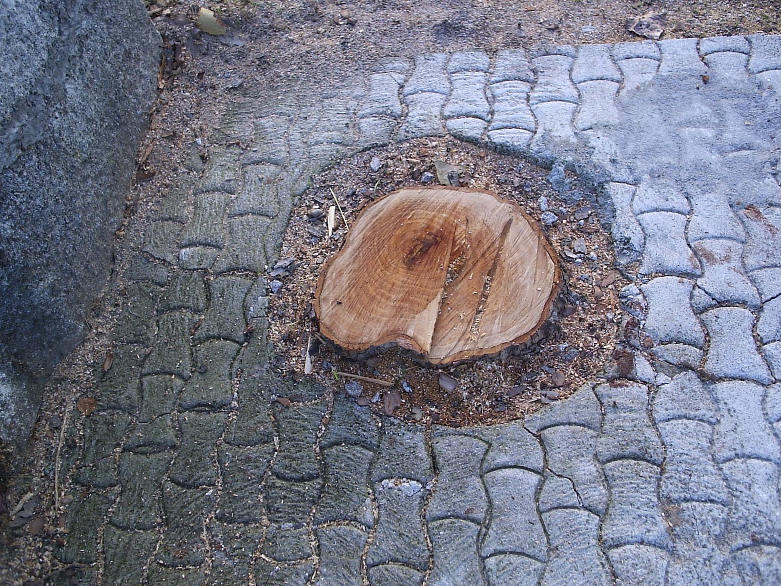 [P4090021.JPG]