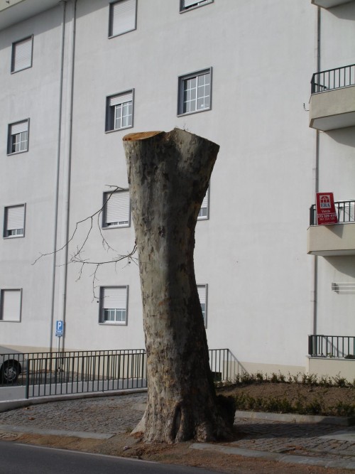 [DSC02614.JPG]