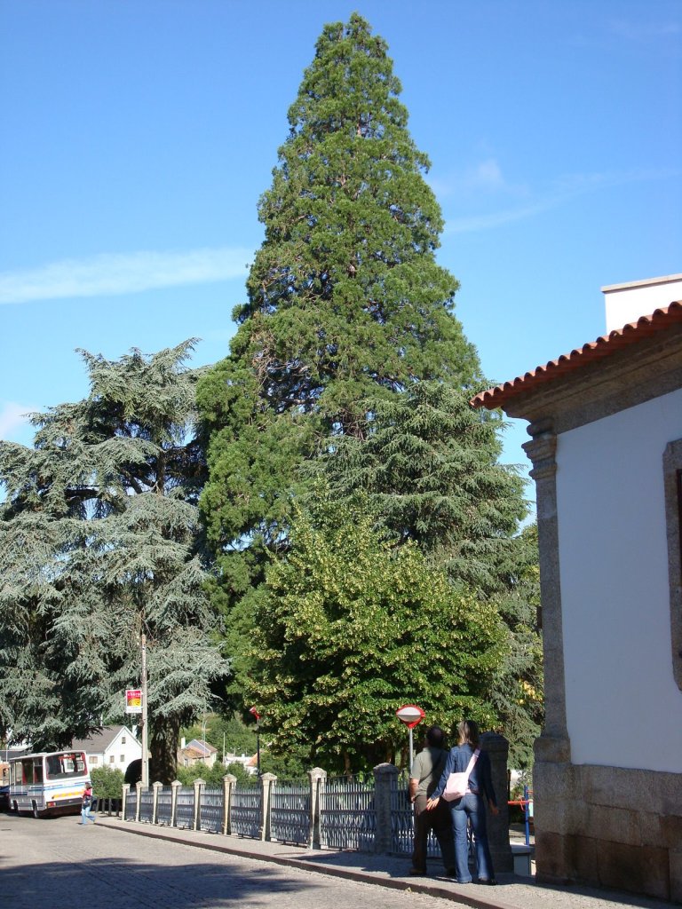 [DSC02330.JPG]